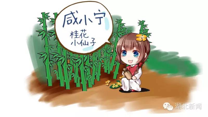 我家乡的这五年咸宁：崛起的绿巨人