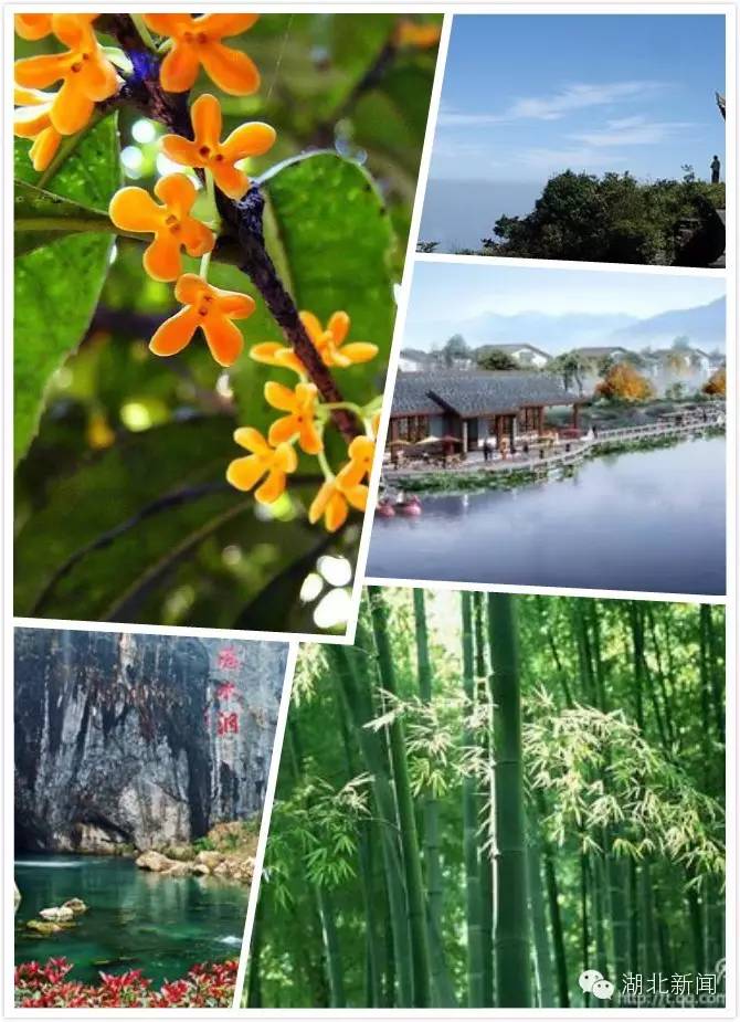 我家乡的这五年咸宁：崛起的绿巨人