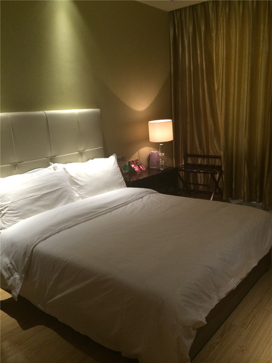 最近很火的乌鲁木齐酒店,乌鲁木齐南山民宿排行榜前十名