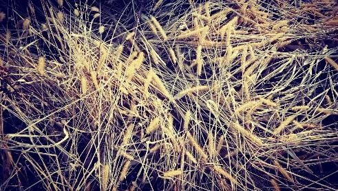 华为m3平板8.4寸,华为平板m3八英寸