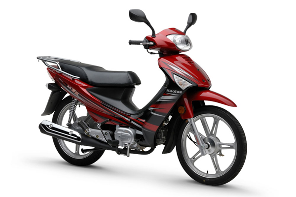 公认最好弯梁车,2019年最受欢迎的十大弯梁车