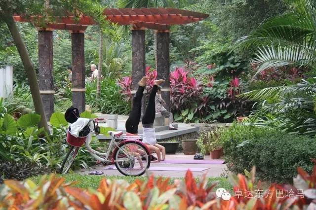 三亚卓达东方巴哈马小区地图,三亚性价比高的房子100平三房两厅