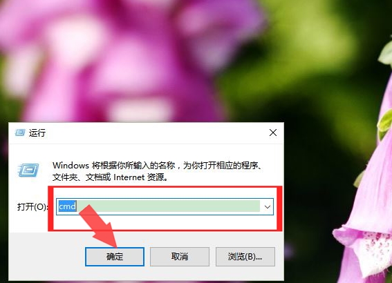 最新网站域名ip地址,如何查找网站ip地址