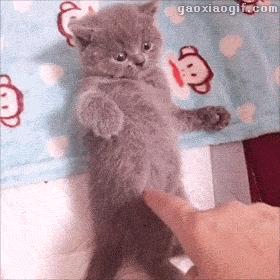 逗逼先僧:完了以后能不能给我舔舔,搞笑gif图片合集6