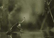 逗逼先僧:完了以后能不能给我舔舔,搞笑gif图片合集6