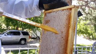 逗逼先僧:完了以后能不能给我舔舔,搞笑gif图片合集6