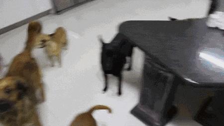 逗逼先僧:完了以后能不能给我舔舔,搞笑gif图片合集6