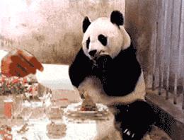 逗逼先僧:完了以后能不能给我舔舔,搞笑gif图片合集6