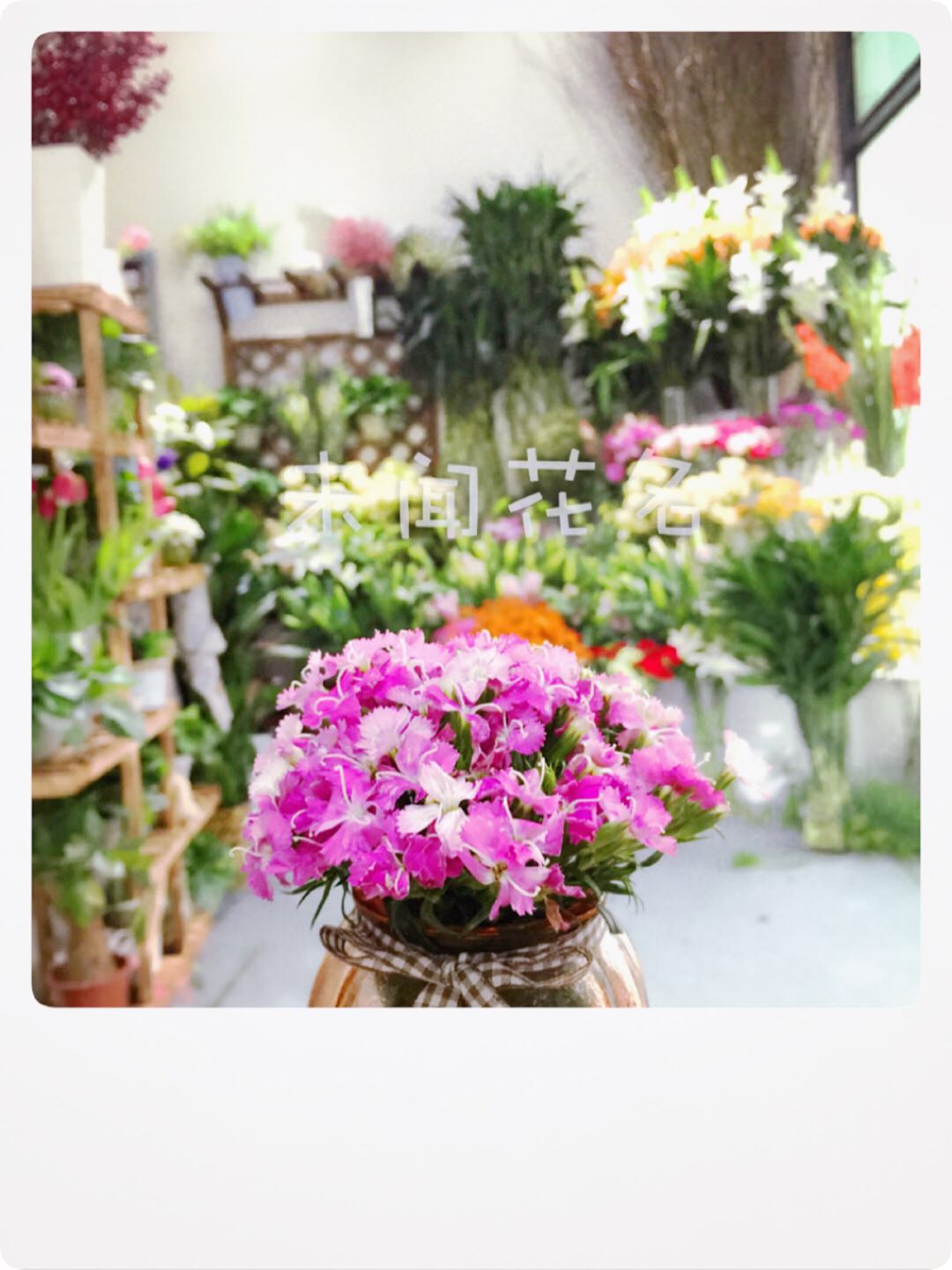 未闻花名每个人的想法,未闻花名每个人的愧疚是什么