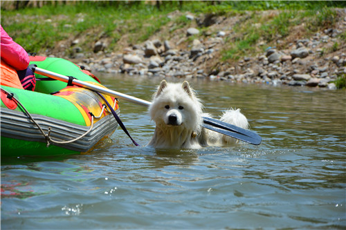 嬉水节巡游活动现场,嬉水节活动总结
