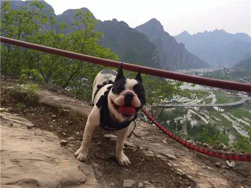 嬉水节巡游活动现场,嬉水节活动总结