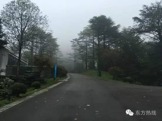 宁波三天两晚民宿推荐最好的地方,宁波最值得一去的民宿