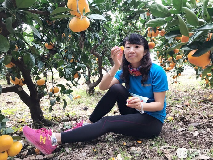 济州岛一日游必买清单,济州岛10大必玩景点