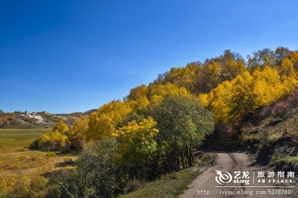 金秋坝上旅游摄影全攻略,坝上透风沟风景图片