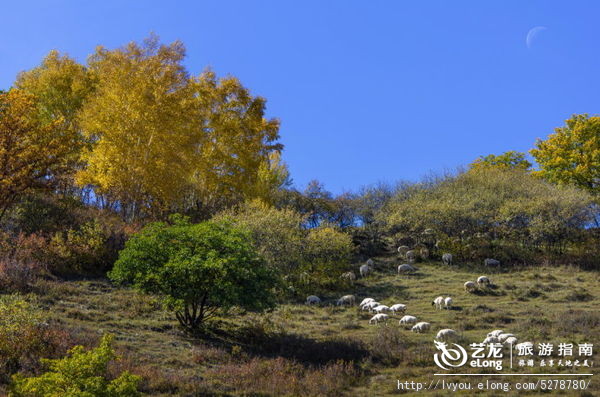 金秋坝上旅游摄影全攻略,坝上透风沟风景图片
