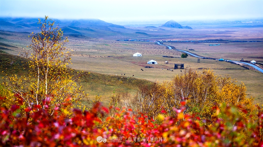 秋季到塞罕坝怎么样,秋天的童话坝上金秋