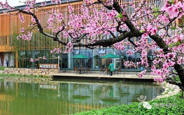 震撼，26个英文字母里竟然隐藏着惠山文体元素！