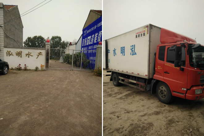 泥鳅商品市场行情,华北泥鳅的市场价格行情走势