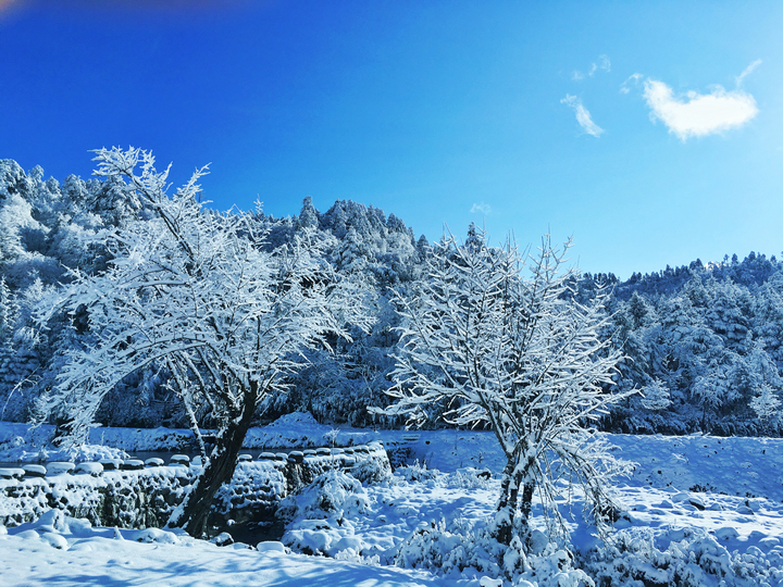 二郎山雪景,天全二郎山冰雪节