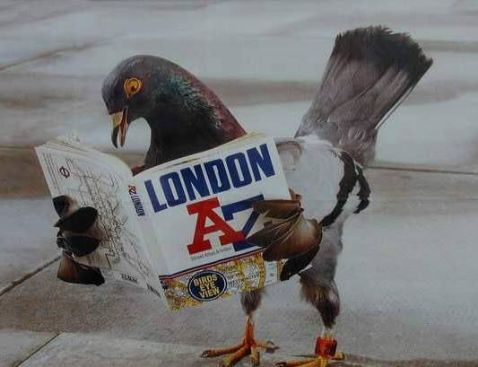 如果觉得国庆7天短，接下来你会知道7天有多长