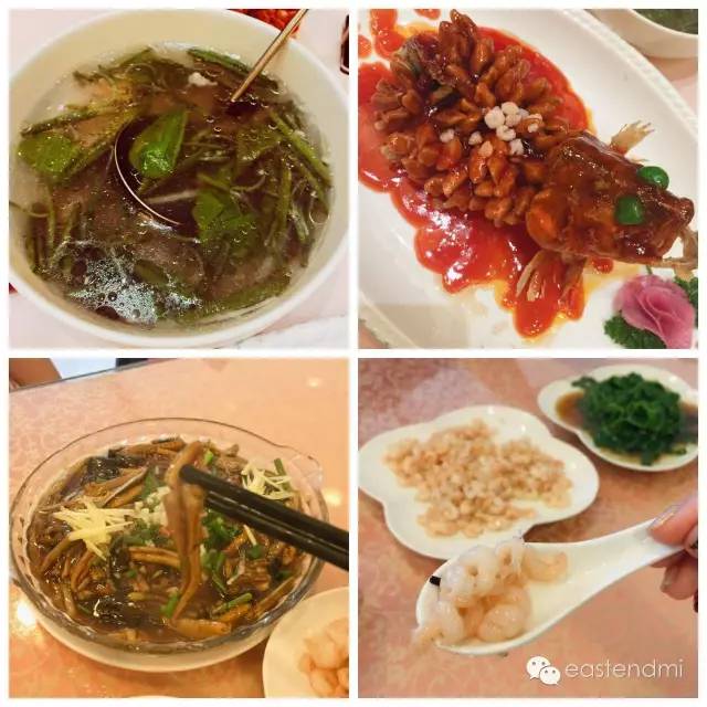 我来到你的城市女声快速版,适合citywalk的湖北城市