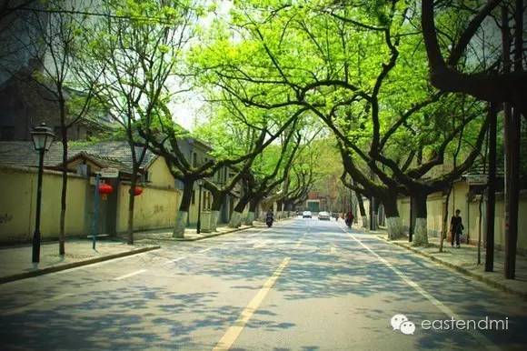 我来到你的城市女声快速版,适合citywalk的湖北城市