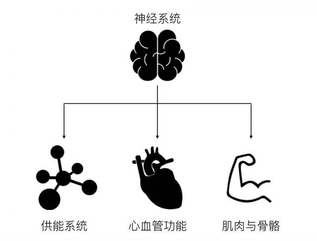 学生党体测1000米穿什么鞋,如何提高体测1000米