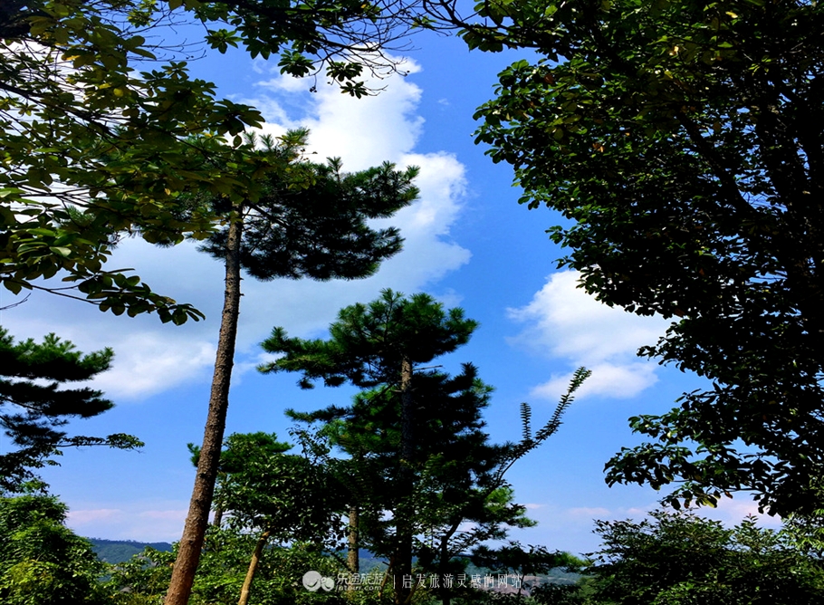 神仙居的景色真的很美,神仙居山水美如画