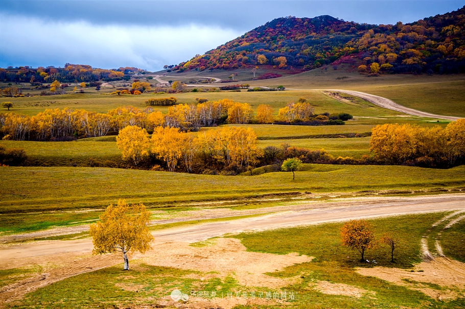 秋季到塞罕坝怎么样,秋天的童话坝上金秋
