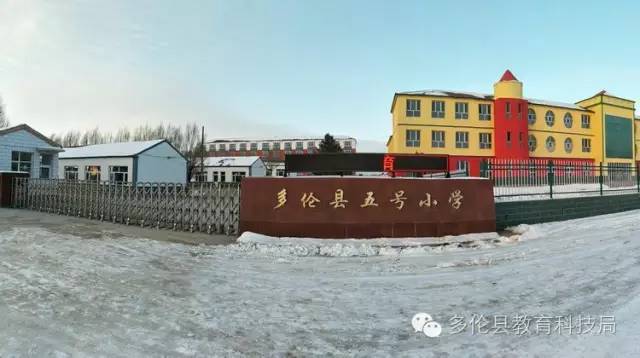 小学学校质量提升行动,农村小学学校质量提升方案