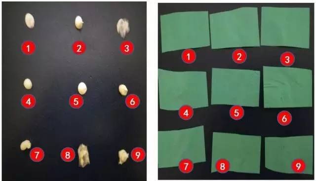 我爱的那个女孩，手很美——9款护手霜深度评测｜有味微店