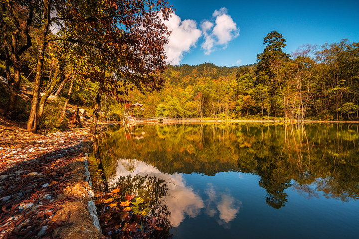 二郎山雪景,天全二郎山冰雪节