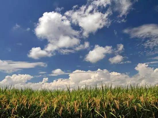 如果觉得国庆7天短，接下来你会知道7天有多长