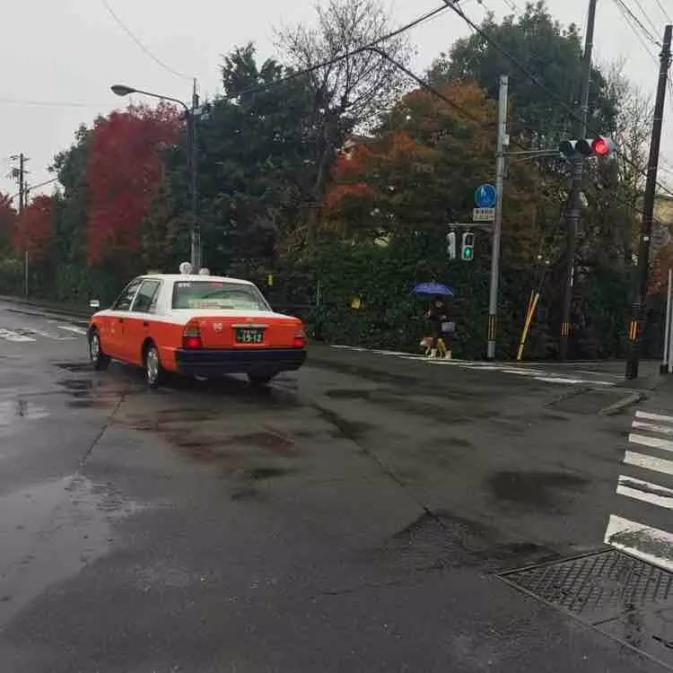 日本自由行京都红叶之旅,日本名古屋红叶风景