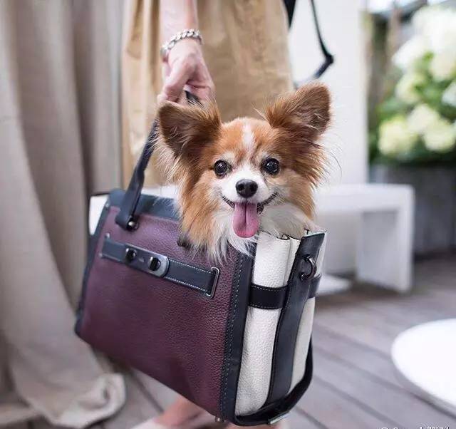 捂紧钱包,捂紧钱包不乱花