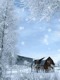 诗词鉴赏一枝春,诗词鉴赏一夜东风绽早梅