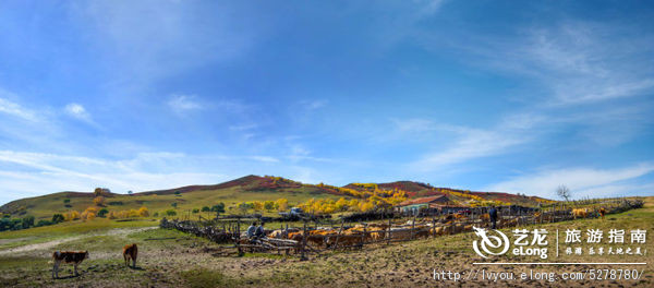 金秋坝上旅游摄影全攻略,坝上透风沟风景图片