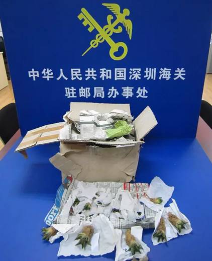 代购都是怎么过海关的,海关会为难代购吗