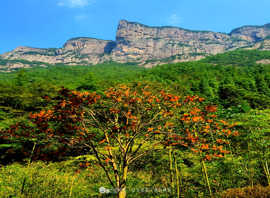 神仙居的景色真的很美,神仙居山水美如画