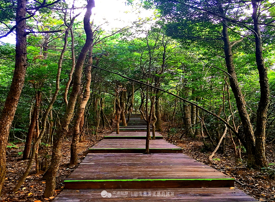 神仙居的景色真的很美,神仙居山水美如画