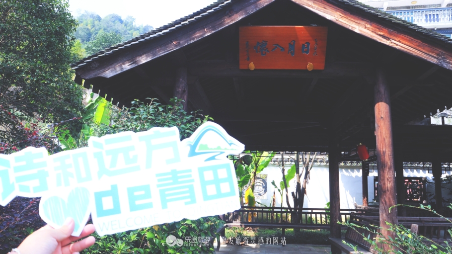 我若问自己客从何处来——浙*青江**田