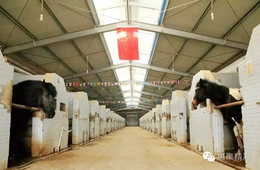 震撼，26个英文字母里竟然隐藏着惠山文体元素！