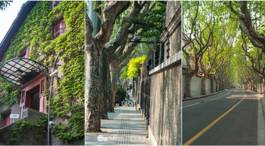 回不去旧时光,回不去的是旧时光