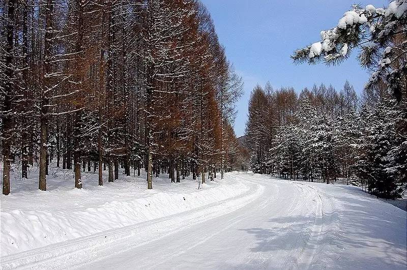 伊春雪原穿越完整版,五一伊春免费景区