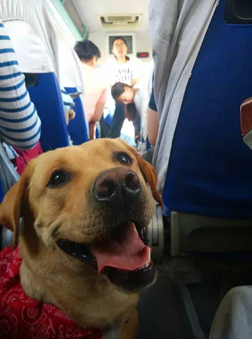 嬉水节巡游活动现场,嬉水节活动总结