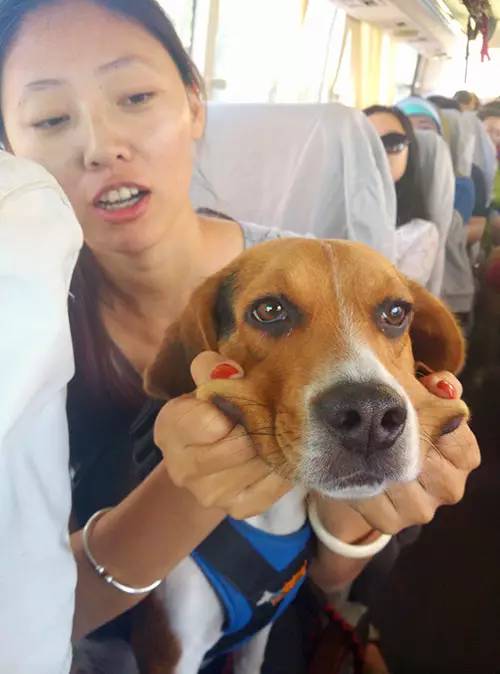 嬉水节巡游活动现场,嬉水节活动总结