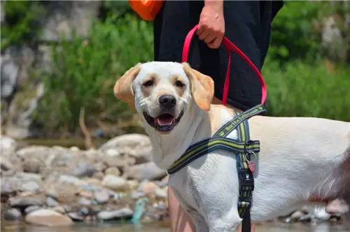 嬉水节巡游活动现场,嬉水节活动总结