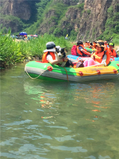 嬉水节巡游活动现场,嬉水节活动总结