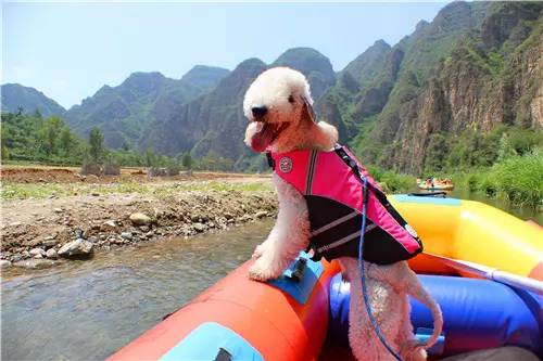嬉水节巡游活动现场,嬉水节活动总结