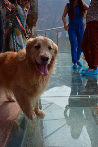 嬉水节巡游活动现场,嬉水节活动总结